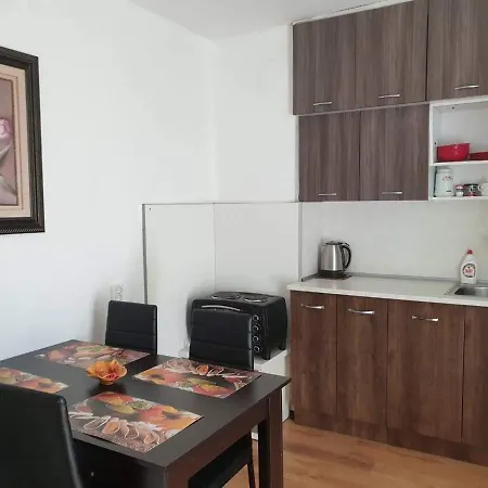 Apartament In The City Center *